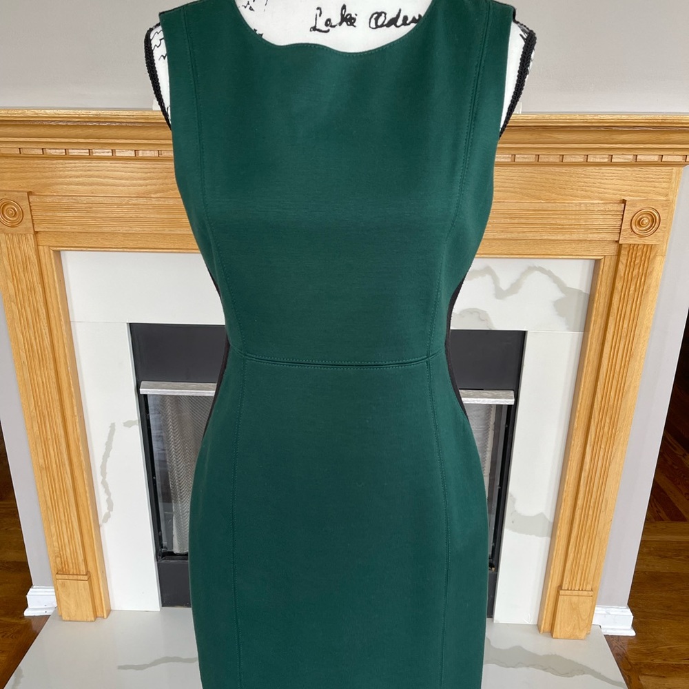 Tahari Green and Black Dress